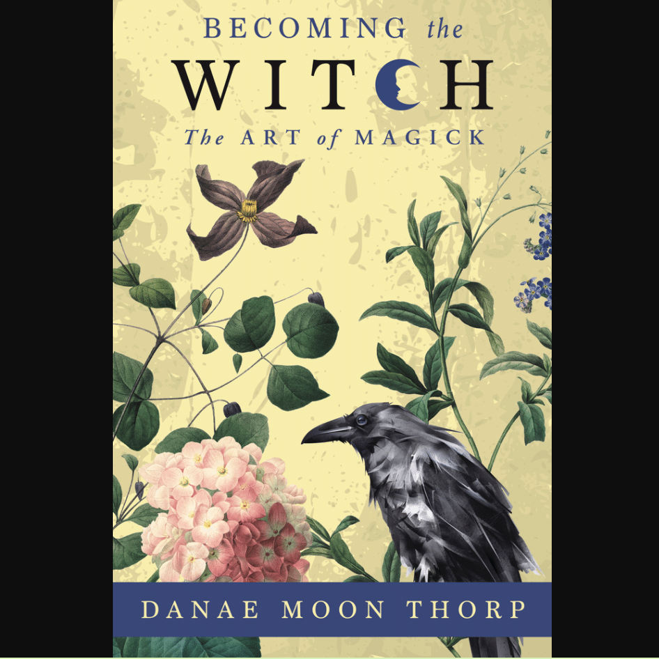 Becoming the Witch Book