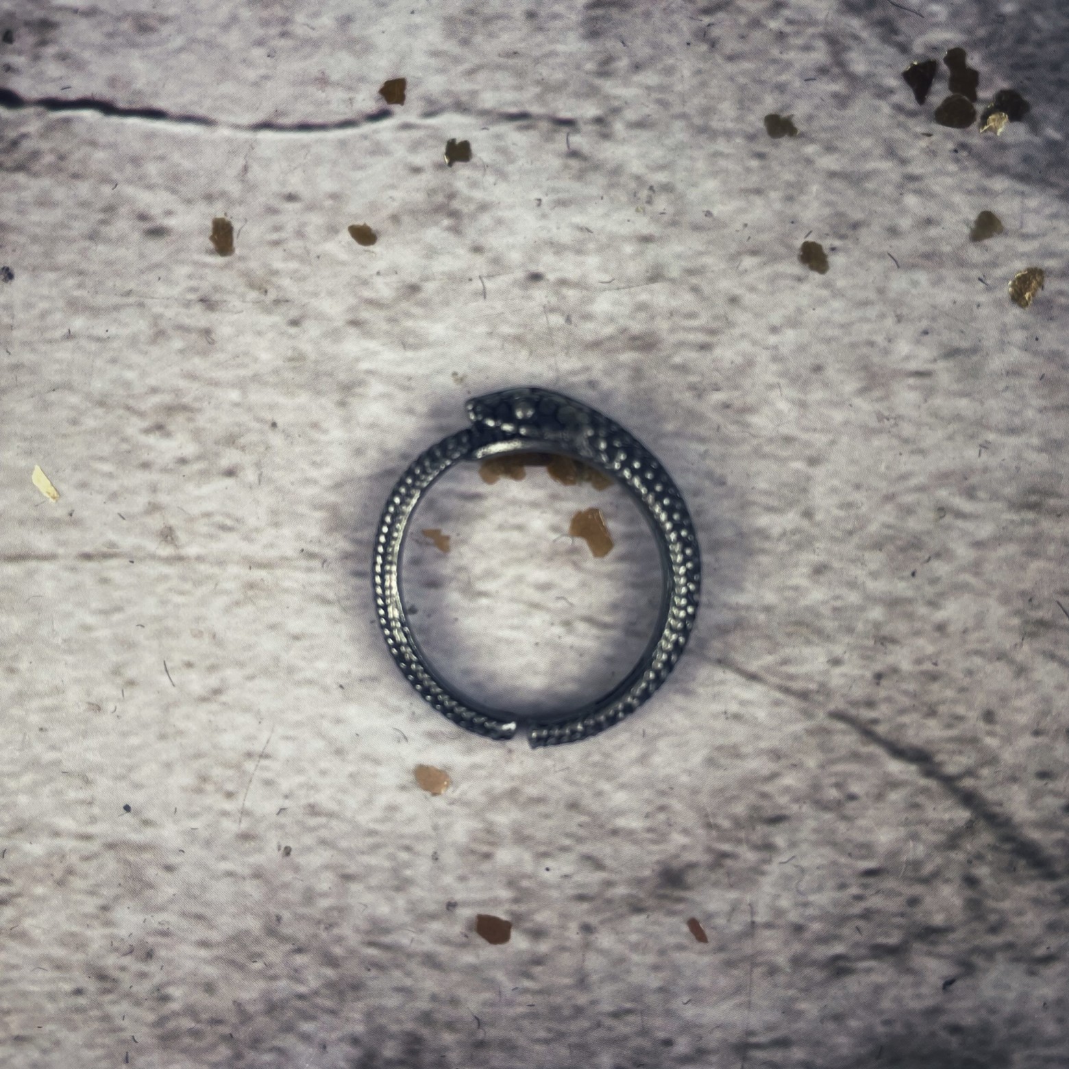 Sacred Ouroboros Ring