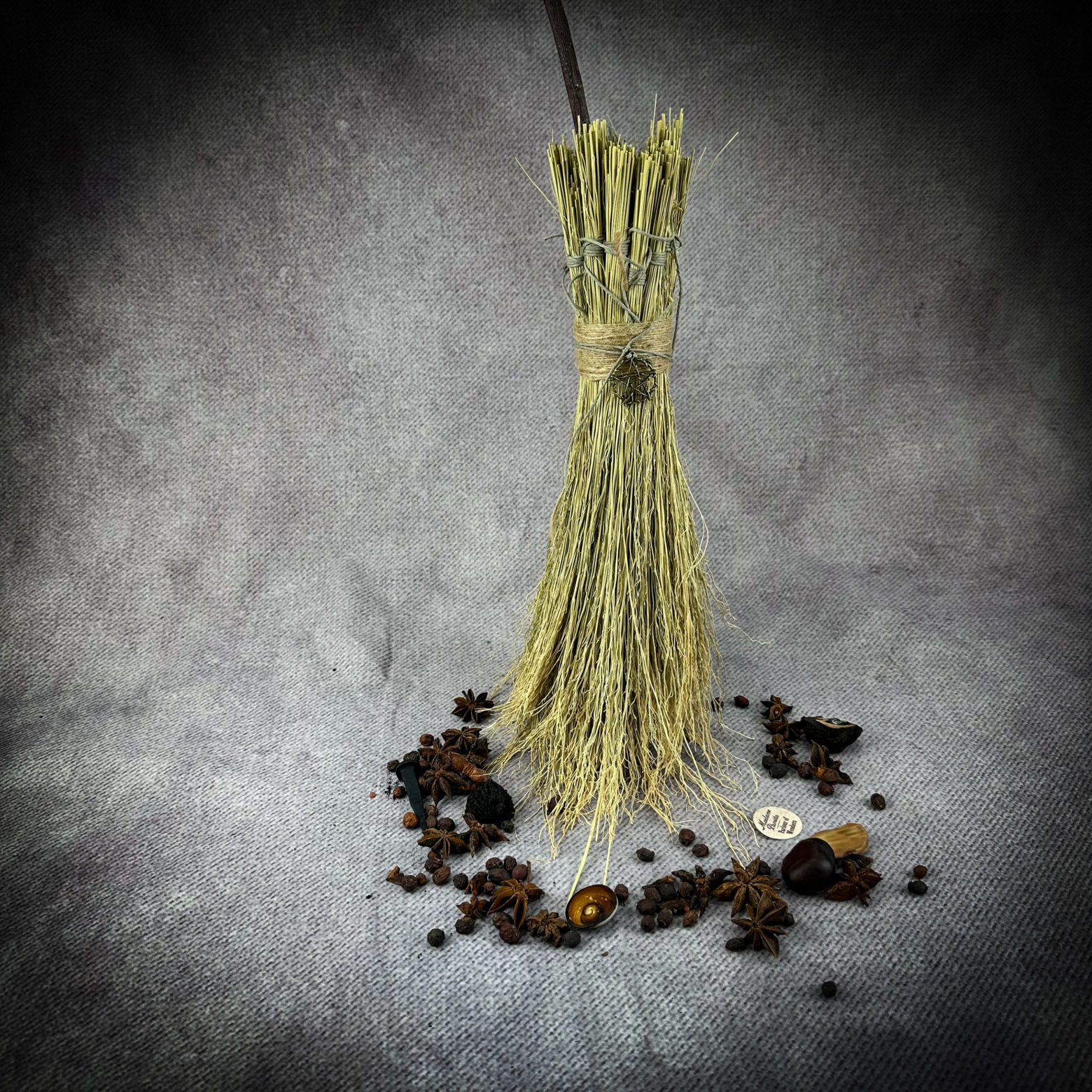 May Scorpio Full Moon Witch Broom Spell Kit and Workshop