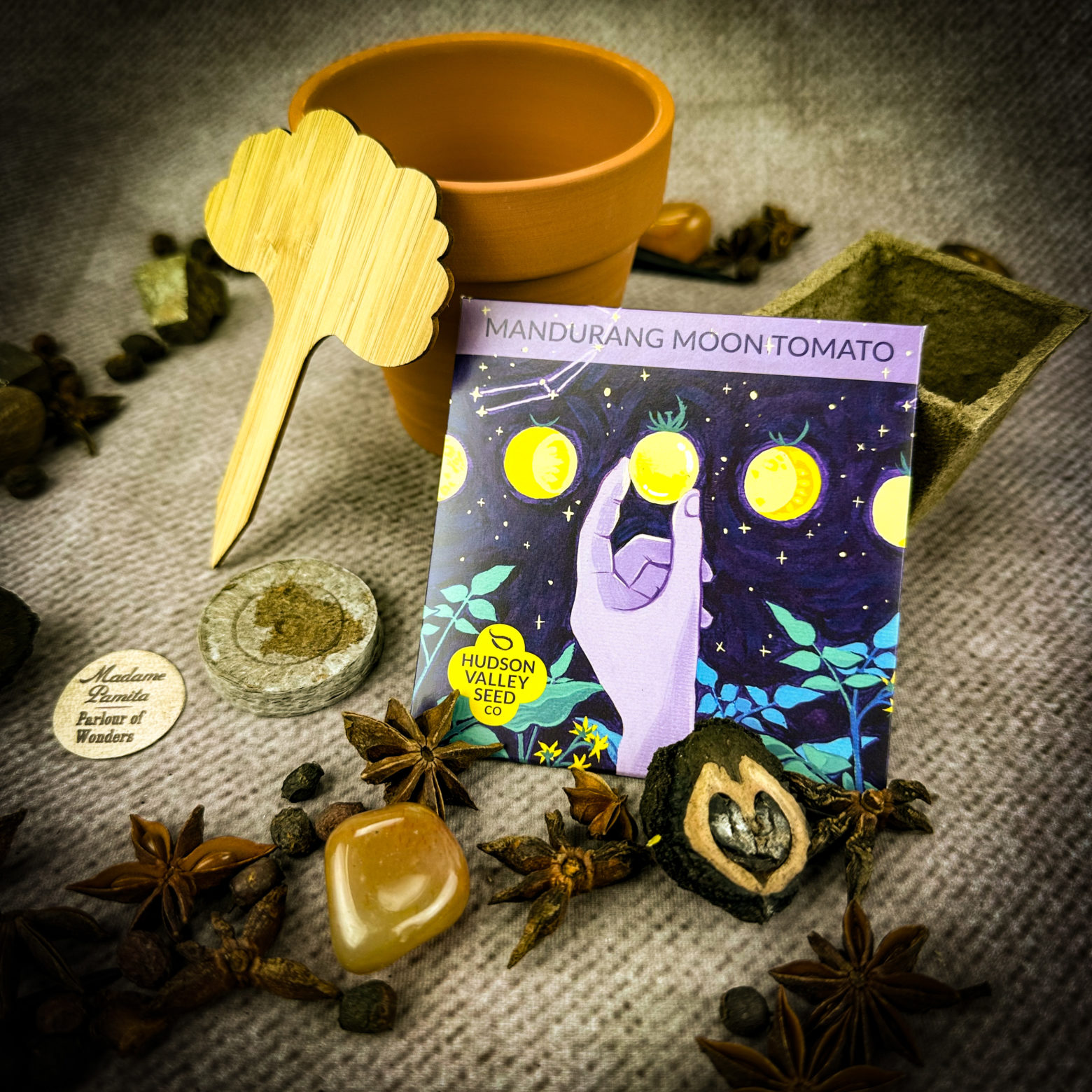 March Virgo Full Moon Psychic Plant Spell Kit and Workshop