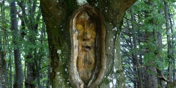 Chuhaister is the spirit of the trees